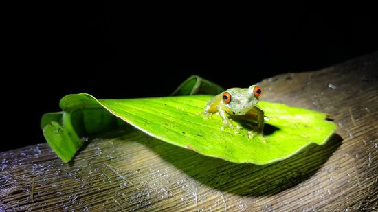 Marco hat diese Fotos alle mit meinem Handy gemacht. Er kann das wirklich gut