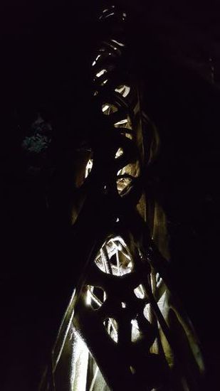 Hier ist ein Wurzelbaum, der mit seinen Wurzeln einen anderen Baum vereinnahmt. Unser Guide hält die Taschenlampe von untern rein, sodass er so schön beleuchtet ist