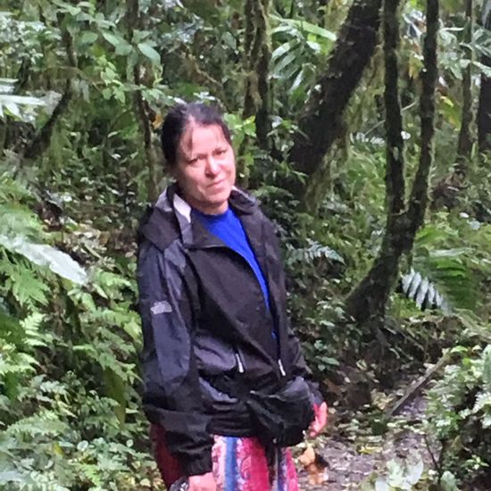 Ein Regenwald im strömenden Regen ist auch doof....