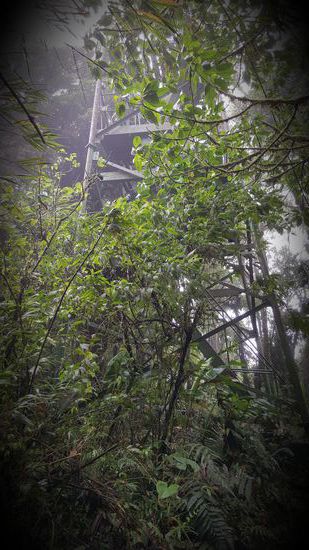 Diesen Turm klettere ich rauf...