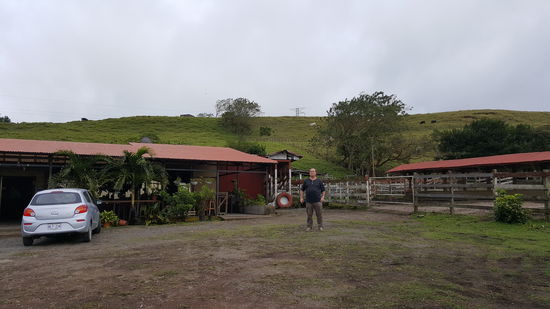 Da hinten stehen die (noch) gluecklichen Rinder...