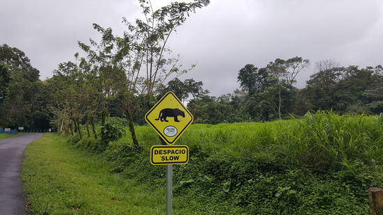 Interessante Schilder...