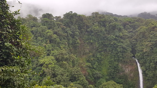 Blick von oben auf den Wasserfall..