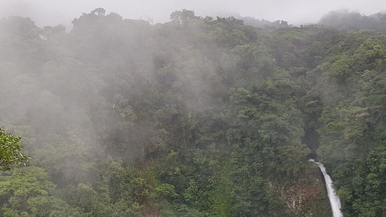 ..und noch mehr ---Nebelwolken...