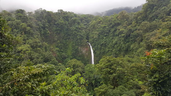 Ganz hinten erkennt man die Menschen die diesen "Superman Fly" von dort über die ganze Schlucht starten. Immer wieder hört man sie jauchzen und über die Schlucht schweben.