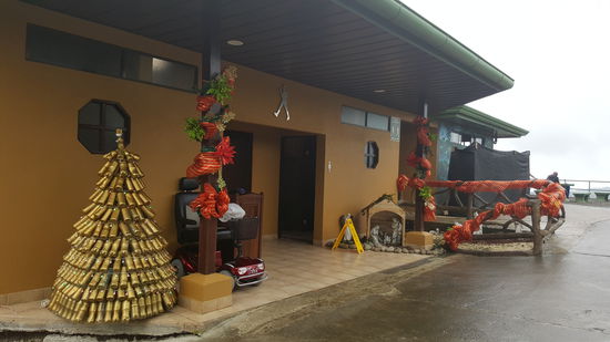 Ein Weihnachtsbaum aus goldenen Plastikflaschen vor den Waschräumen
