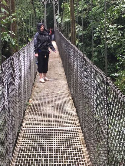 ...und wieder Regen im Regenwald....