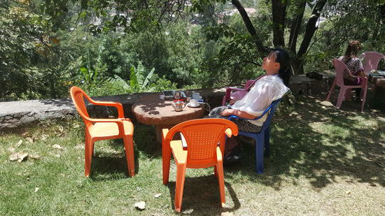 Im Garten vom Seven Olives 