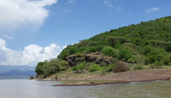Die Sandbank mit den Krokodilen.