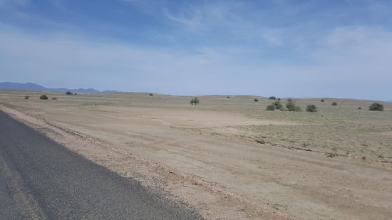 Je näher wir zur Grenze Kenias kommen, um so trockener wird es.