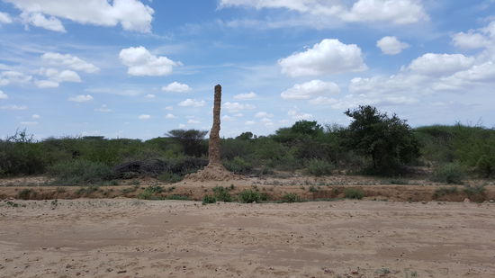 Ein Riesenexemplar von Termitenhügel..