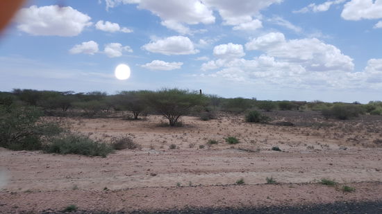 ...und noch mehr große Termitenhügel...