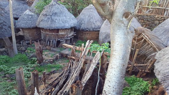 Das Areal einer Familie.