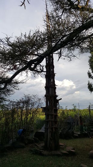 Ein Generationenbaum.