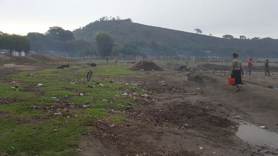 Ein Fischmarkt der besonderen Art....