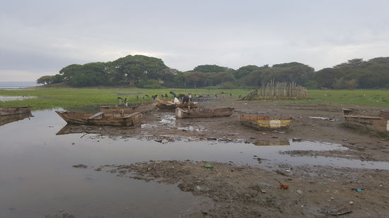 Boote trudeln nach und nach ein...