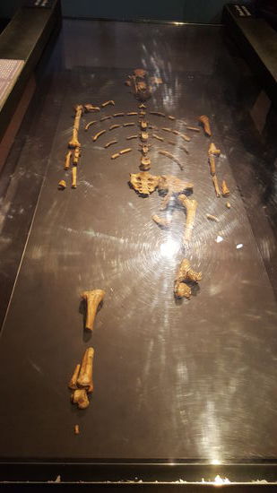 Die Überreste der ältesten Frau...