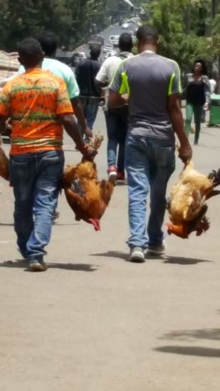 Überall sehen wir wie so das Festessen für Ostern nach Haus getragen wird.