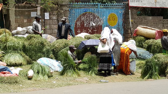 Hier wird Gras als Teppich Ersatz verkauft.
Besonders bei den Kaffezeremonien wird dies Gras als Teppich zum sitzen verwendet