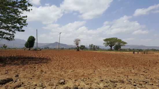 Im Hintergrund kann man schon die Berge erkennen.
