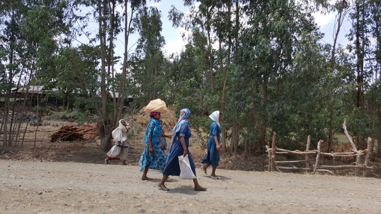Unglaublich was man alles auf dem Kopf transportieren kann...