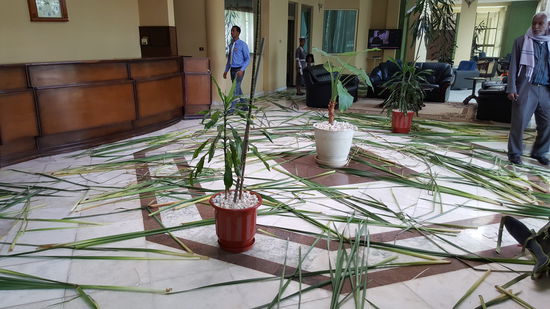 Heute ist Ostersonntag und dafür ist die Halle mit dem besagten Gras geschmückt.