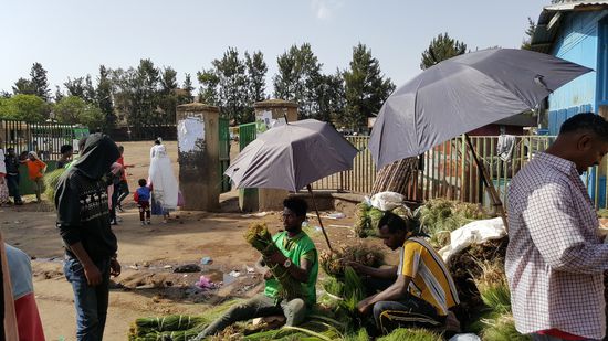 Hier wird wieder das Gras in Büscheln verkauft--auch in unserem Bus ist jede Lücke damit ausgestopft--jeder nimmt sich einen Vorrat für die Feiertage mit nach Hause.