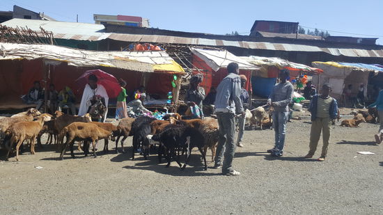 Auf diesem Markt werden noch ein paar Eier besorgt. Dann geht es nach Debark. Dort müssen wir uns registrieren, bevor es in den Nationalpark geht.