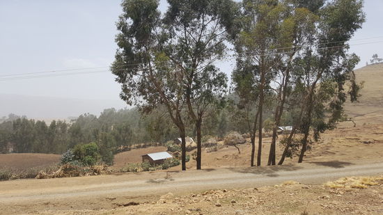 Und dann geht es weiter durch die trocken, staubige Landschaft.