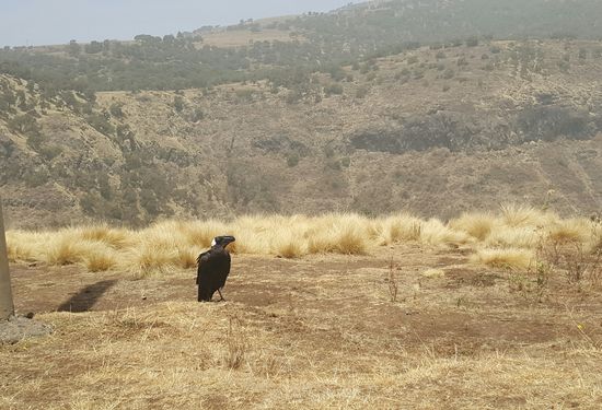 Und schon sind wir auf dem Weg.