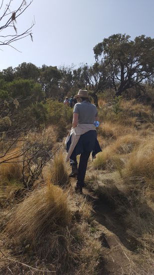 Den ganzen Tag geht es bergauf, bergab durch die wunderschöne Landschaft.