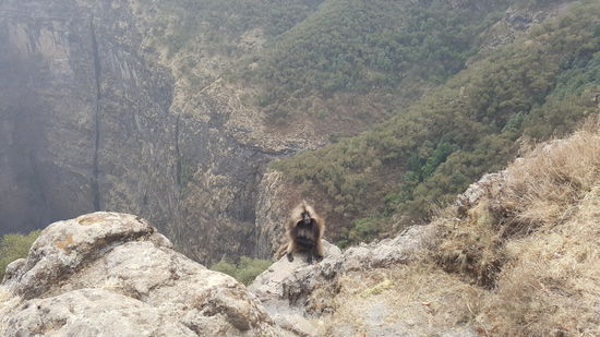Da kommt ein Besucher