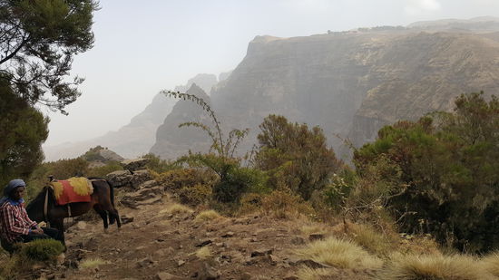 Der Mann mit dem Esel lief eine ganze Weile neben uns her..evtl braucht Ines ihn...?