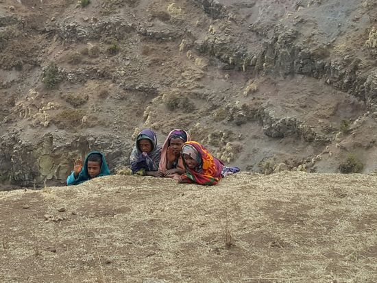 Sie beobachten uns und als wir Bonbons rausholten kamen sie schnell angelaufen...