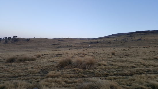 Hier haben wir die Wölfe gesehen.