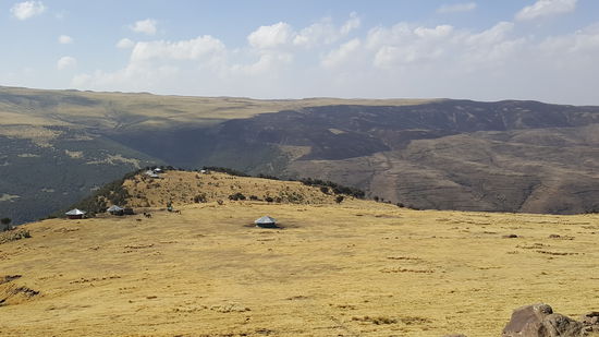 Nun geht es Richtung Ziel. Irgendwo da hinten ist die Straße und dort wartet der Bus. Doch bis dahin war es noch ein weiter Weg durch Felder, kleine Wälder, über einen Fluß. Wir sind froh die Abkürzung genommen zu haben.