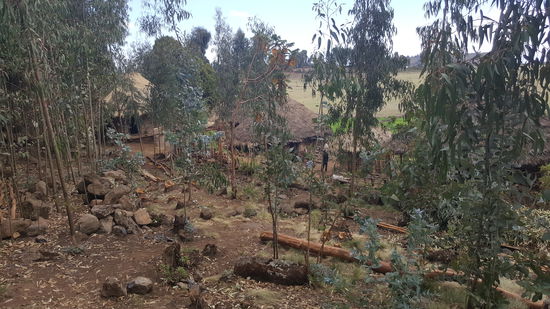 Blick auf die Wohnhütte unserer Gastgeber und rechts ist die Küche.