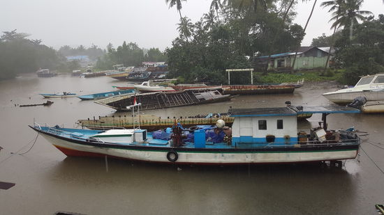Die Boote sehen alle nicht sehr frisch und seetüchtig aus...