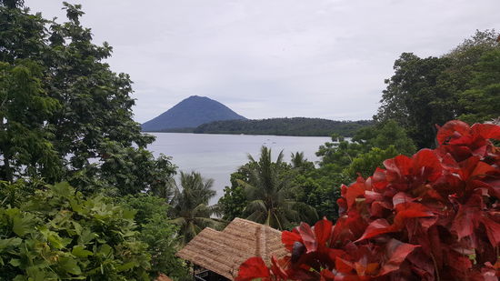 Blick von unserem Bungalow