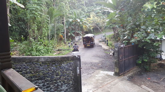 Ich schaue ihnen von unserer Holzterrasse aus nach