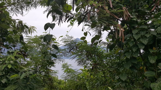 Blick auf den Vulkan Karangetang