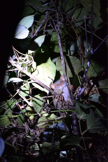 Sind sie nicht ZU süß????