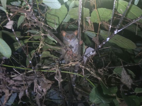 ...aber die kann man sich öfter ansehen..