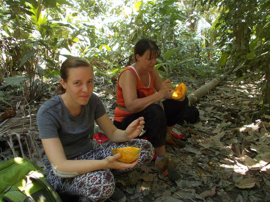 Alex macht mit uns etwas "Survival-Training" Was der Urwald hergibt wird verspeist.
Erst eine junge Kokosnuss und jetzt frische Papaya