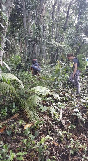 Der Weg muss oft mit der Machete freigeschlagen werden...