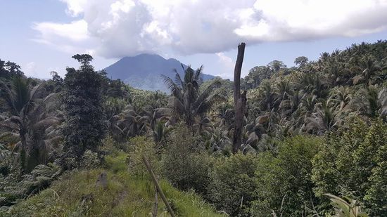 Da hinten ist er--der Dukomo!!! Unheimlich begleitet uns die ganze Zeit das Grollen und die Explosionen...