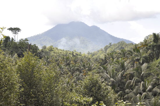 Das Ziel klar vor Augen...