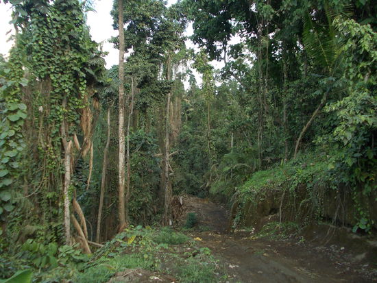 Vom Rückweg gibts weniger Bilder--wir sind einfach zu kaputt--sogar Alex..