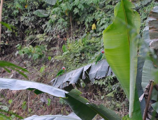 Die beiden habe ich tatsächlich entdeckt....