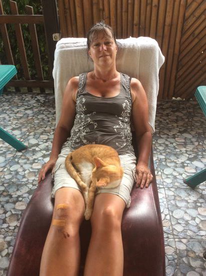 Auch hier sind die Katzen unglaublich verschmust und anhänglich...